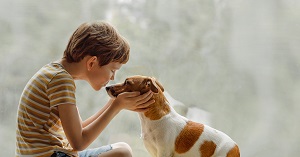 Child kisses the dog in nose on the window, moving guide
